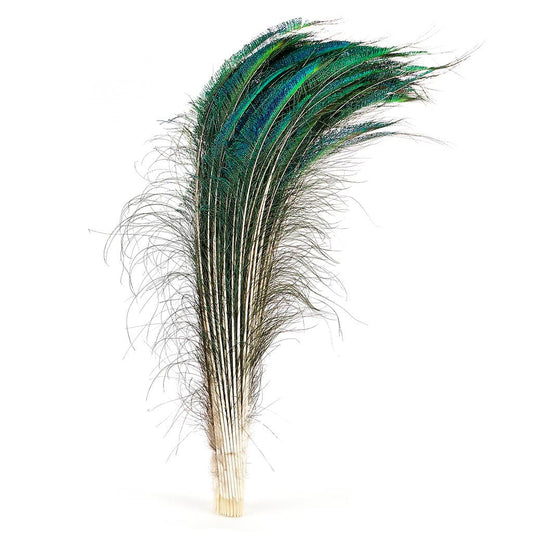 Peacock Feather Swords Natural - 30 - 40’’ - Feathers