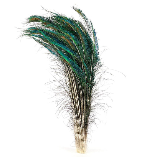 Peacock Feather Swords Natural - LT - 25 - 30’’ - Feathers