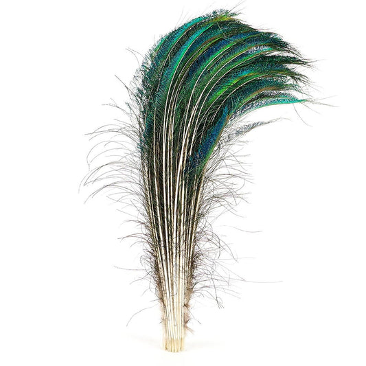 Peacock Feather Swords Natural - RT - 25 - 30’’ - Feathers