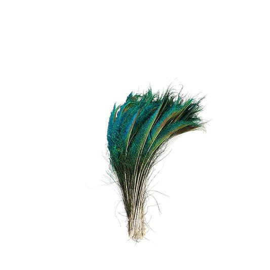 Peacock Feather Swords Right Wing 12-20’’ - Natural - Feathers