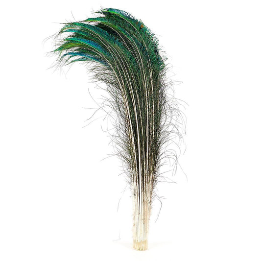 Peacock Feather Swords Right Wing 30-40’’ - Natural - Feathers