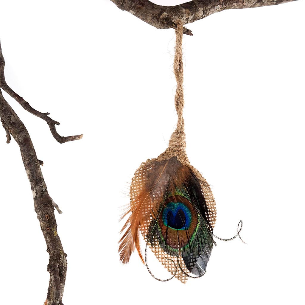 Peacock Feather Teardrop Ornament - Natural - Feathers