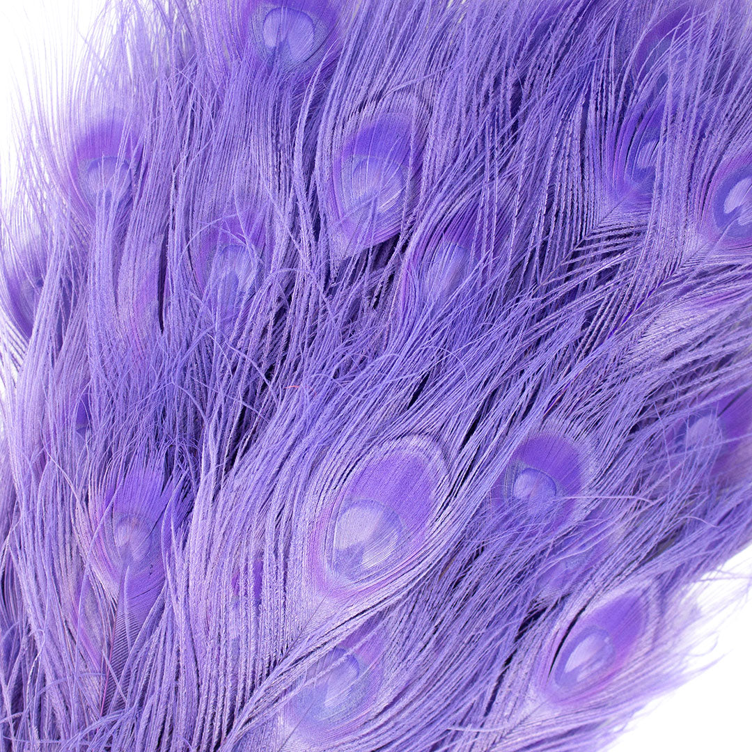 Peacock Feathers | 25-40’’ Tail Eyes | Fluorescent Lilac (Bulk) - Peacock Feathers