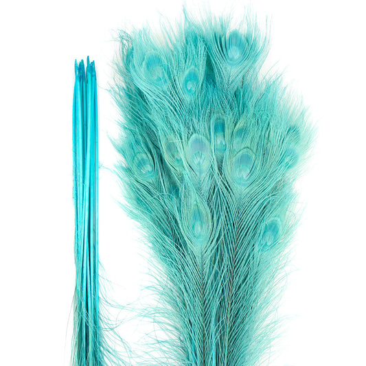 Peacock Feathers | 25-40’’ Tail Eyes | Light Turquoise (Bulk) - Peacock Feathers