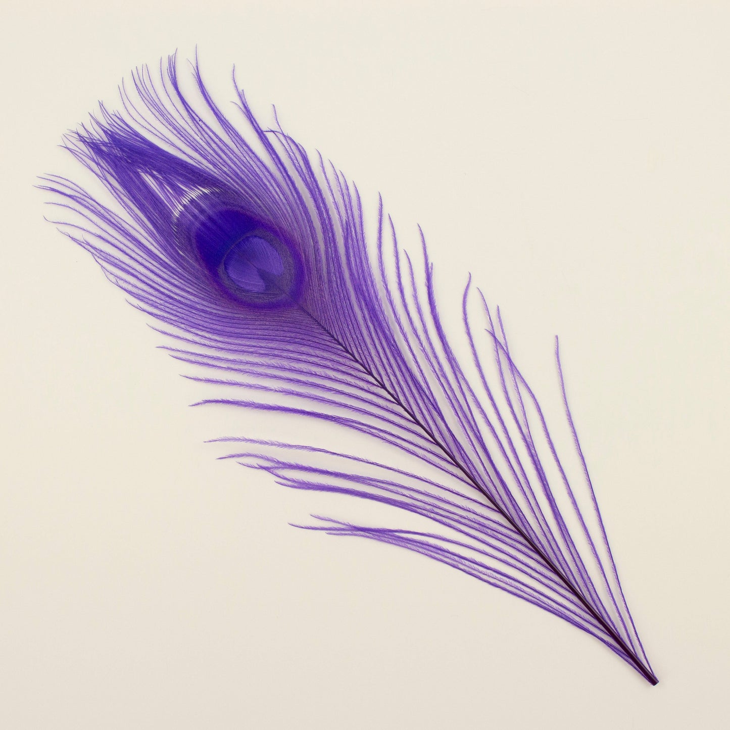 Peacock Feathers | 8-15’’ Tail Eyes | Fluorescent Lilac | 25pc - Peacock Feathers