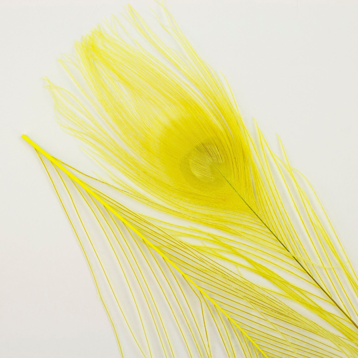 Peacock Feathers | 8-15’’ Tail Eyes | Fluorescent Yellow | 25pc - Peacock Feathers