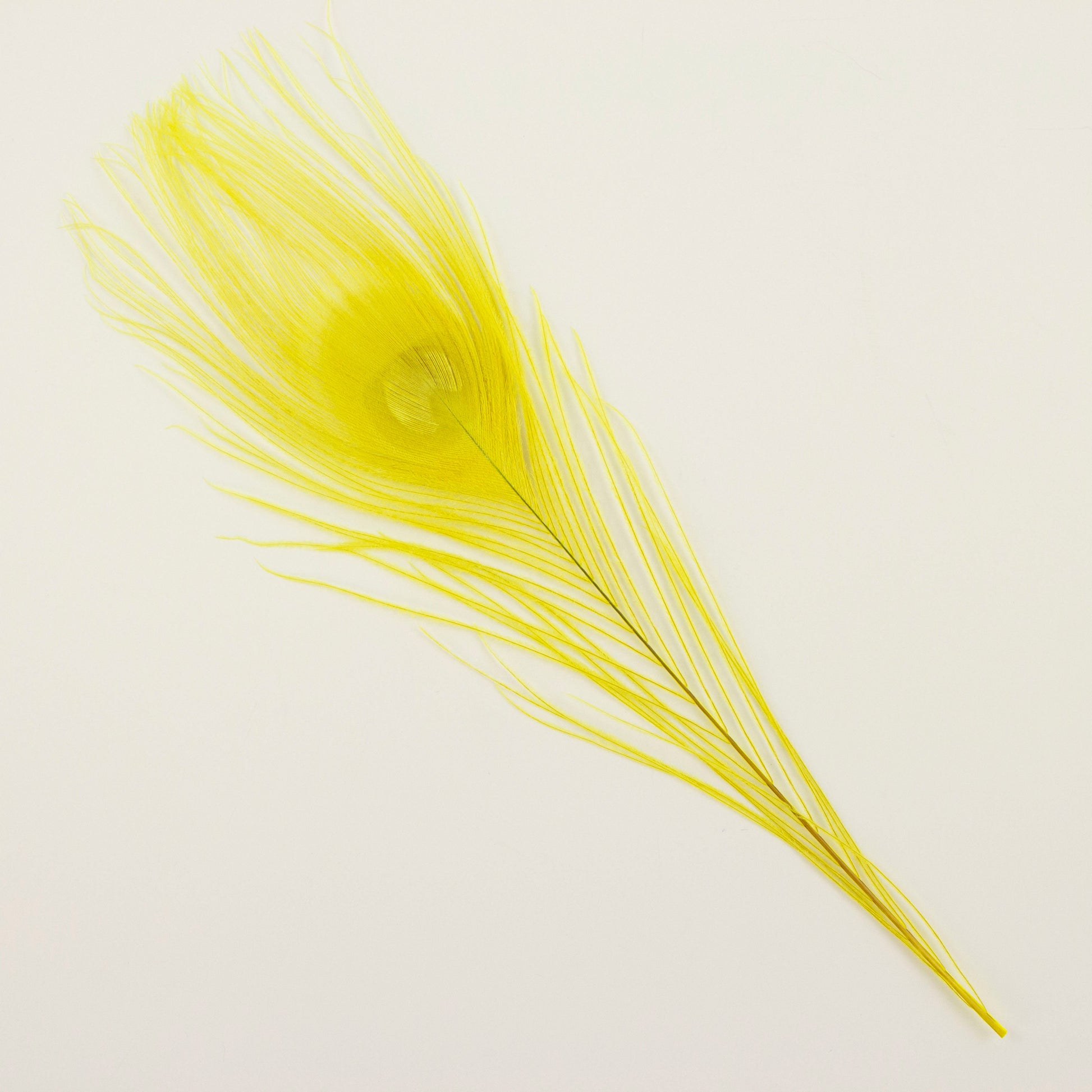 Peacock Feathers | 8-15’’ Tail Eyes | Fluorescent Yellow | 25pc - Peacock Feathers