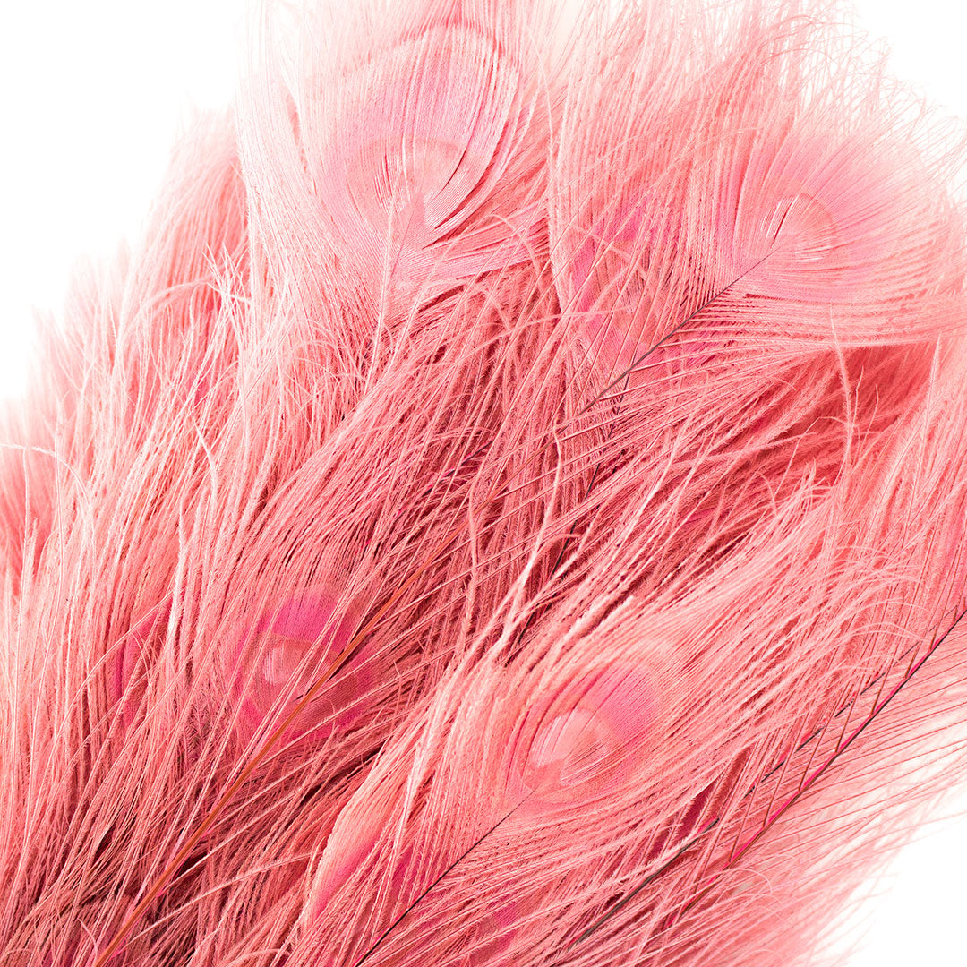 Peacock Feathers (Bulk) | 25-40’’ Tail Eyes | Candy Pink - Peacock Feathers