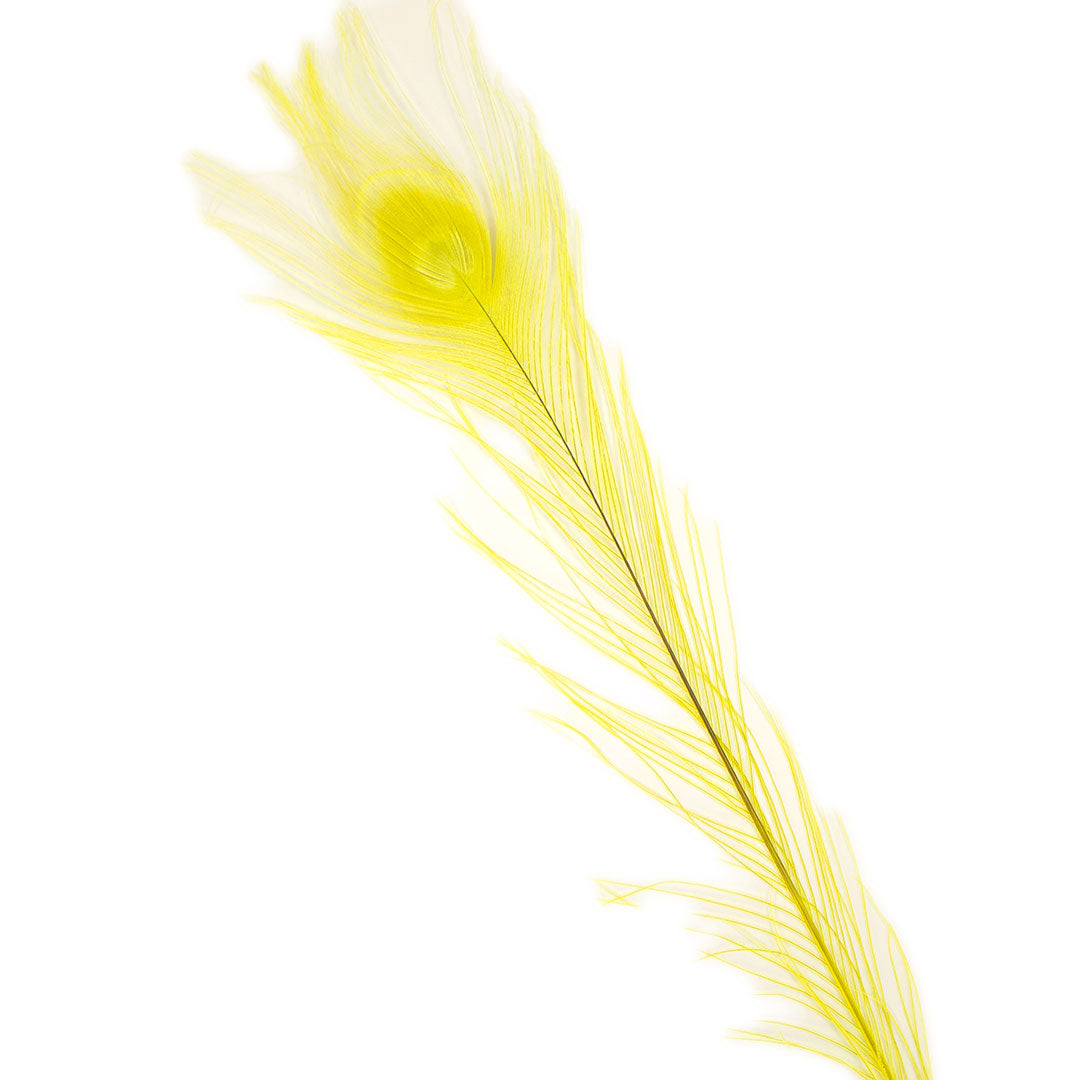 Peacock Feathers (Bulk) | 25-40’’ Tail Eyes | Fluorescent Yellow - Peacock Feathers