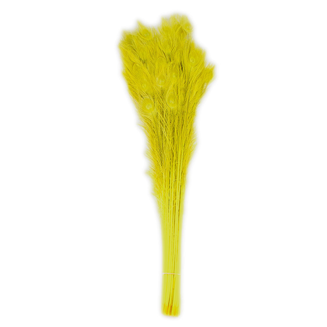 Peacock Feathers (Bulk) | 25-40’’ Tail Eyes | Fluorescent Yellow - Peacock Feathers