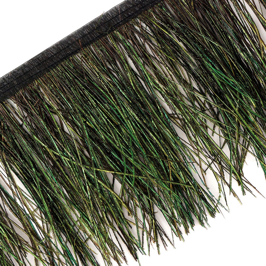 Peacock Flue Feather Fringe - Feathers