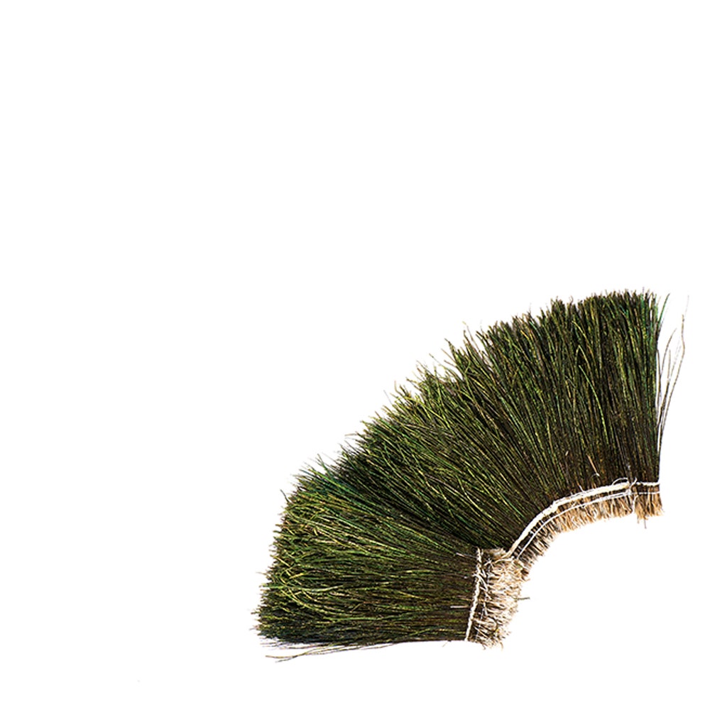 Peacock Flue (Herl) Feathers [{WEDDING CENTERPIECES}] 4-6 Inches - Natural - Feathers