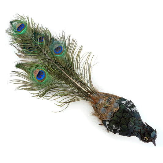 Peacock Ornament Bird - Natural - Feathers