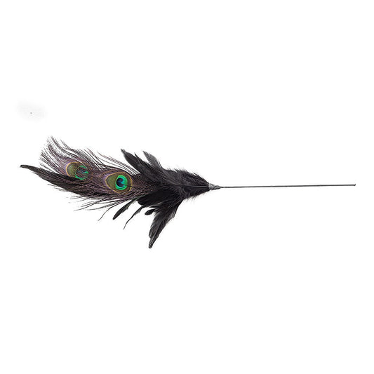 Peacock Pheasant Feather Floral Stem - Black - Feathers