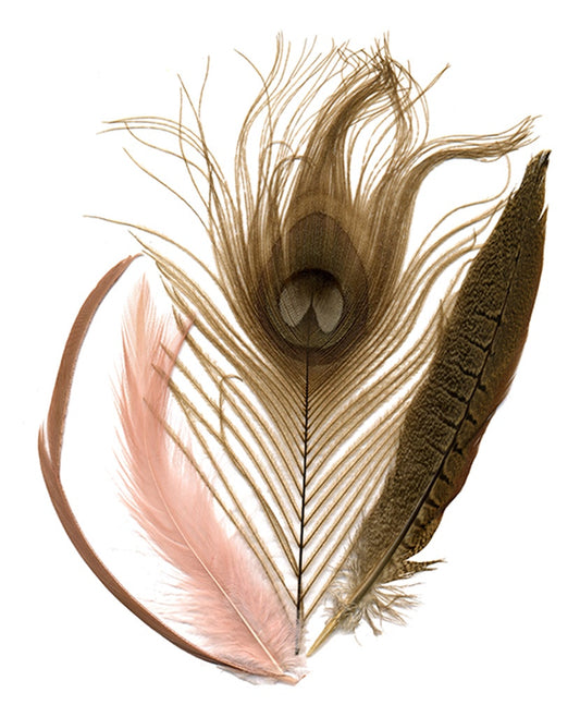 Peacock - Pheasant - Goose Mix - CHP - GIRD - N - Feathers