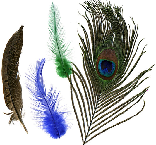Peacock - Pheasant - Hackle Mix - Kelly - Natural - Feathers