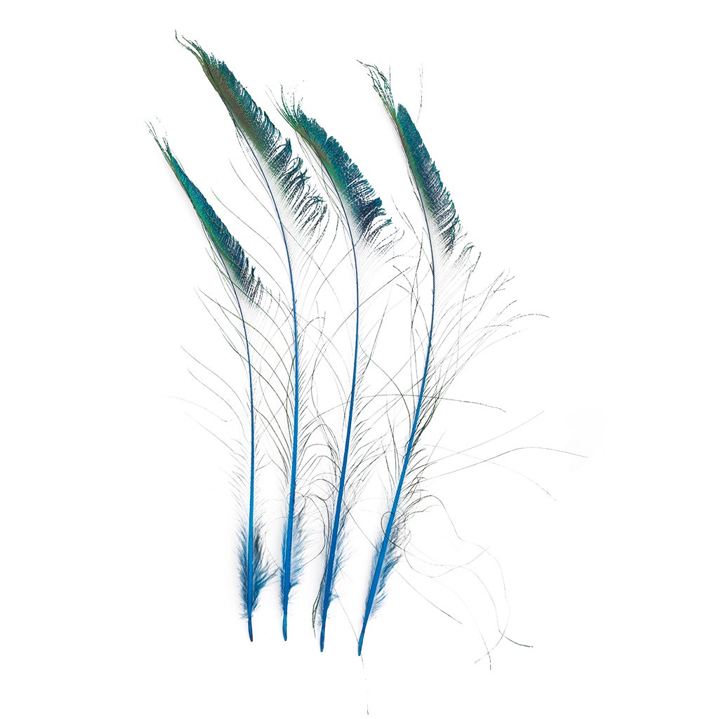 Peacock Sword 15-25’’ Stem Dyed 10 pc/pkg - Dark Turquoise - Feathers