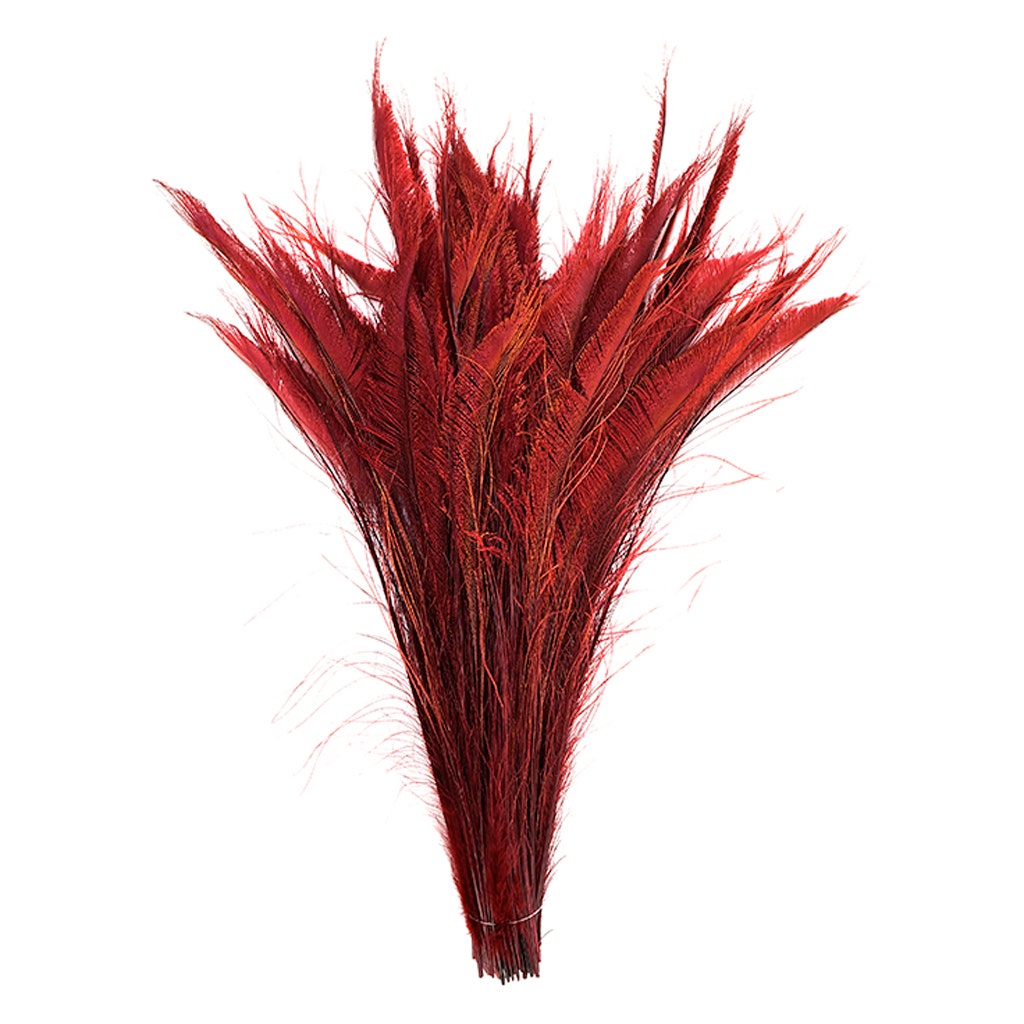 Peacock Swords Bleach Dyed - Burgundy - Feathers