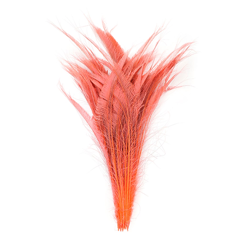 Peacock Swords Bleach Dyed - Coral - Feathers