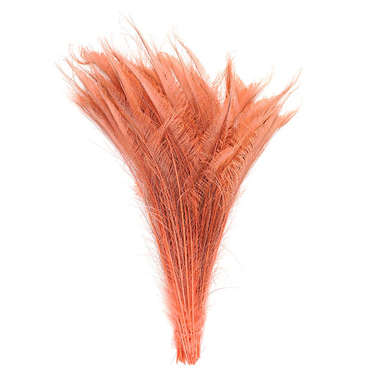 Peacock Swords Bleach Dyed - Dusty Rose - Feathers