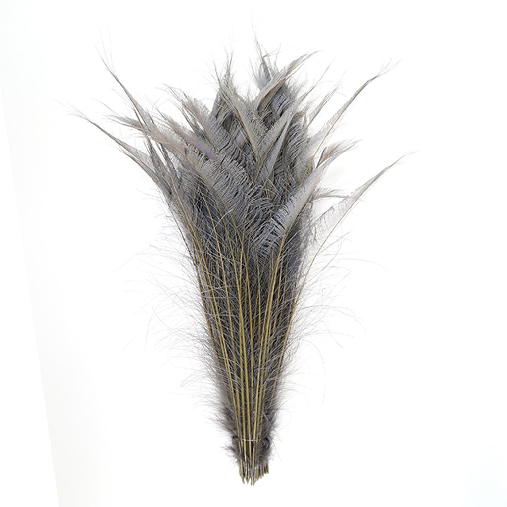 Peacock Swords Bleach Dyed - Iris - Feathers