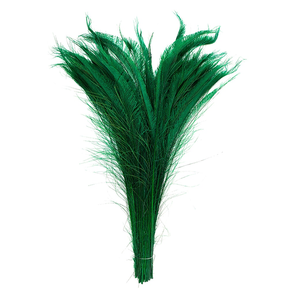 Peacock Swords Bleach Dyed - Kelly - Feathers