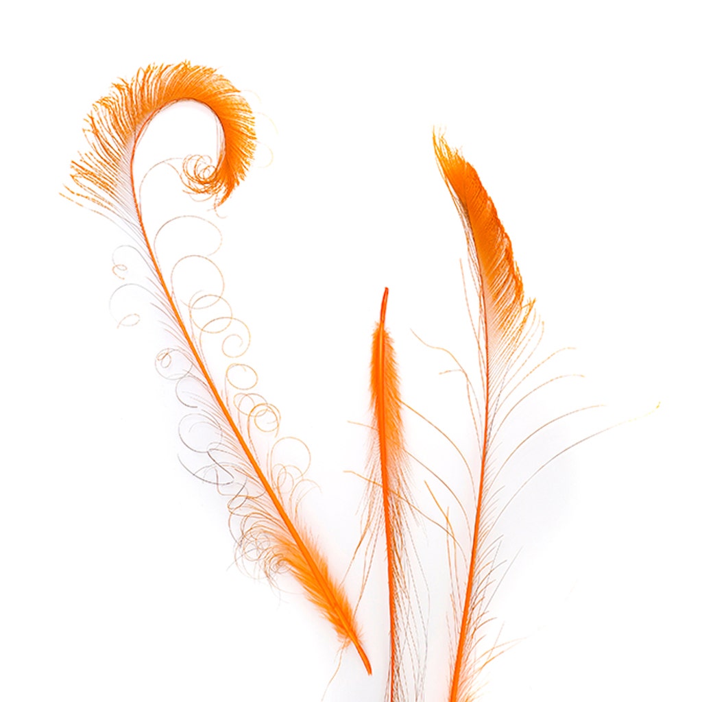 Peacock Swords Bleach Dyed - Orange - Feathers