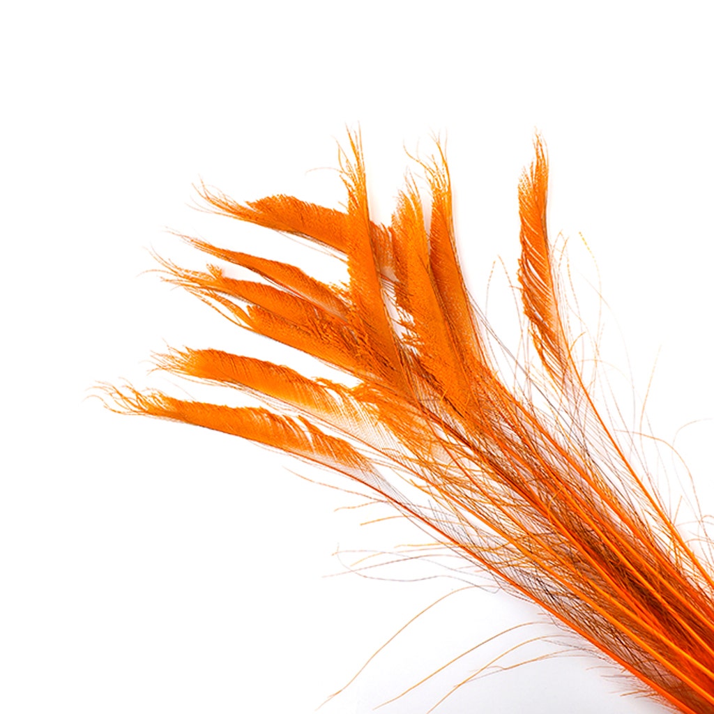 Peacock Swords Bleach Dyed - Orange - Feathers