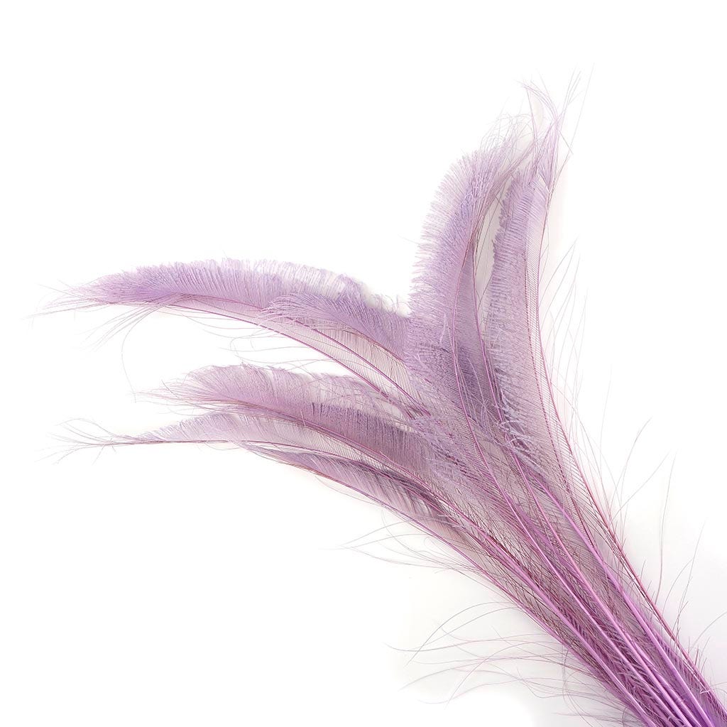 Peacock Swords Bleach Dyed - Orchid - Feathers