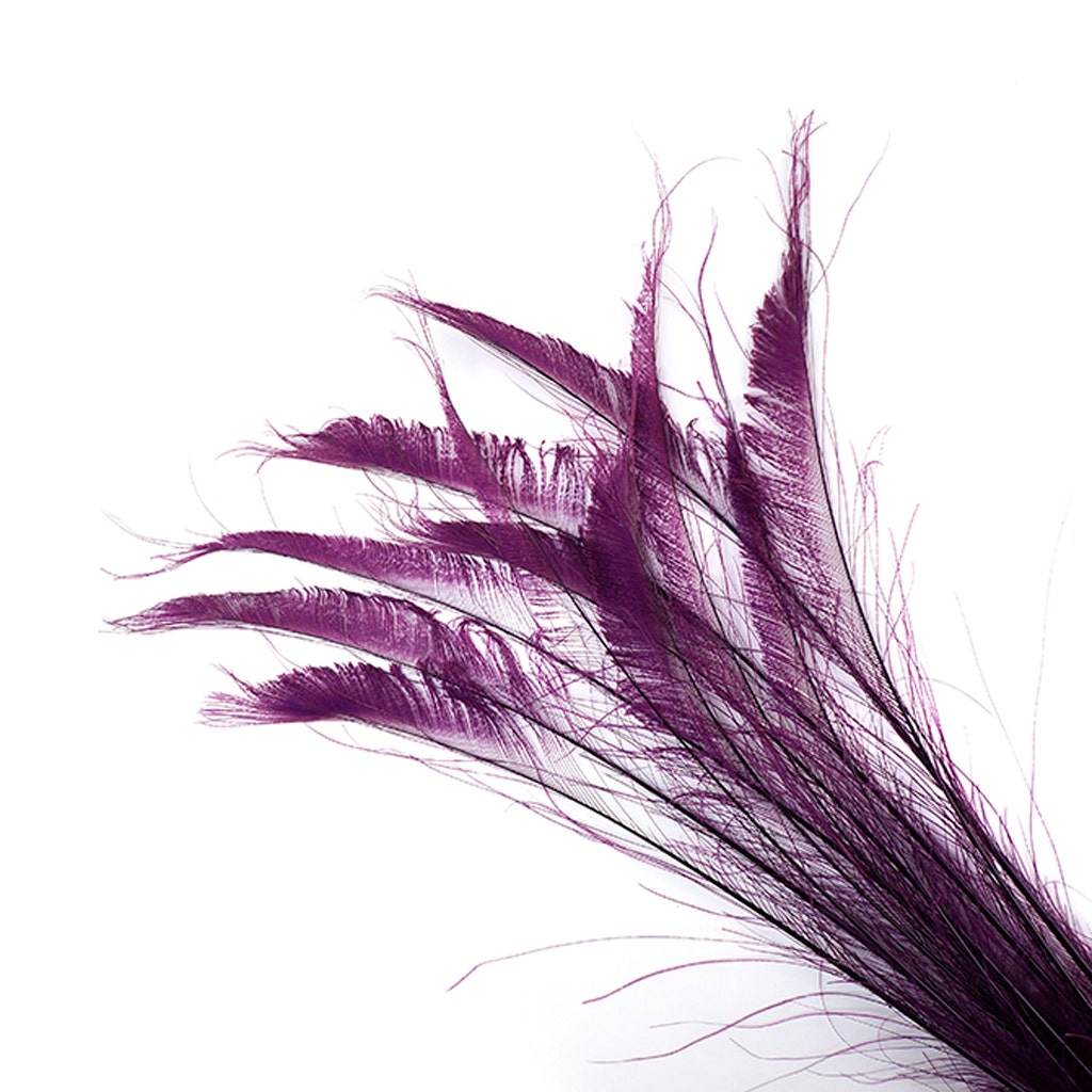 Peacock Swords Bleach Dyed - Purple - Feathers