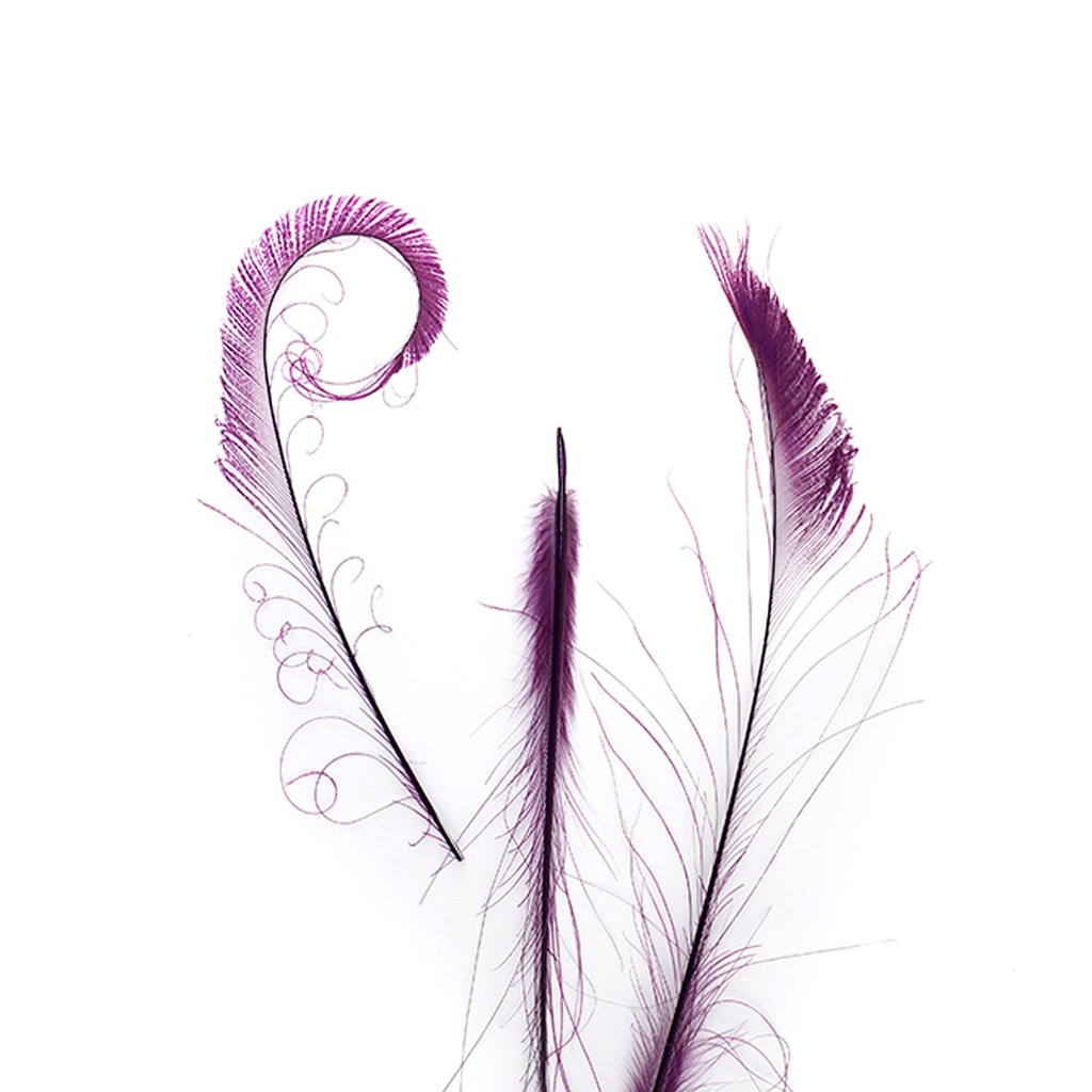 Peacock Swords Bleach Dyed - Purple - Feathers