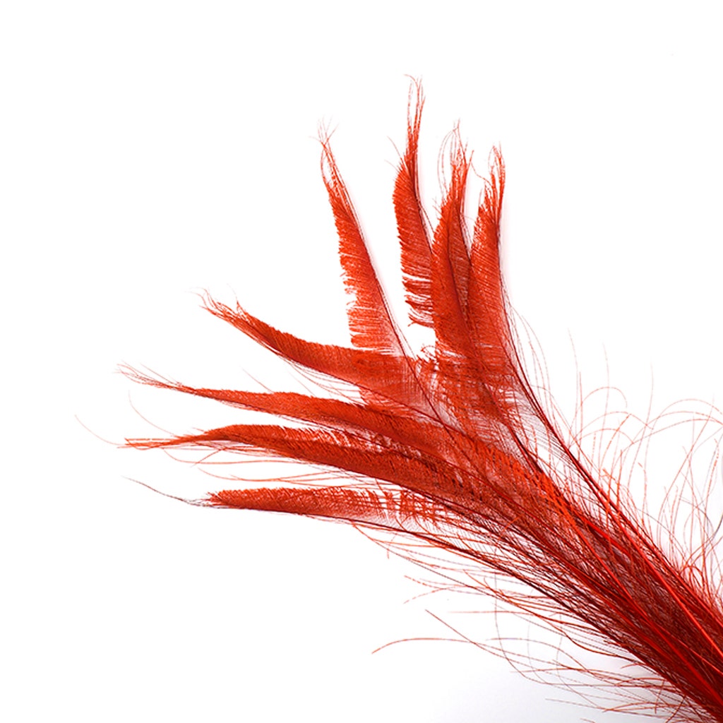 Peacock Swords Bleach Dyed - Red - Feathers