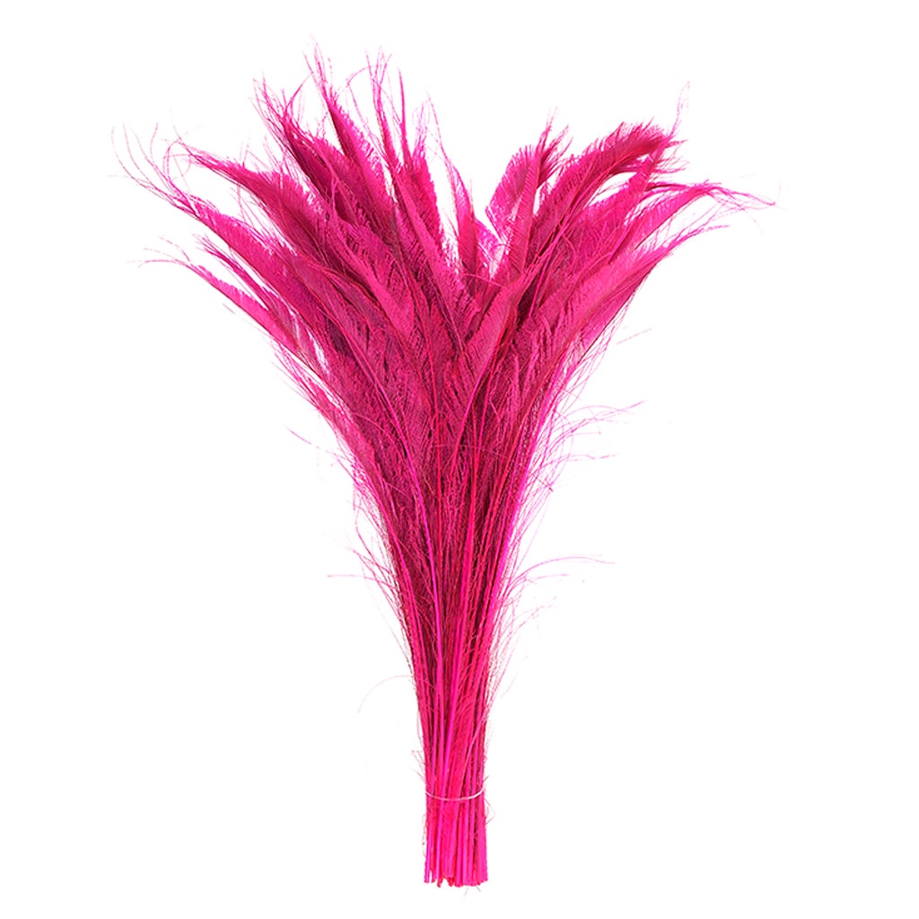 Peacock Swords Bleach Dyed - Shocking Pink - Feathers