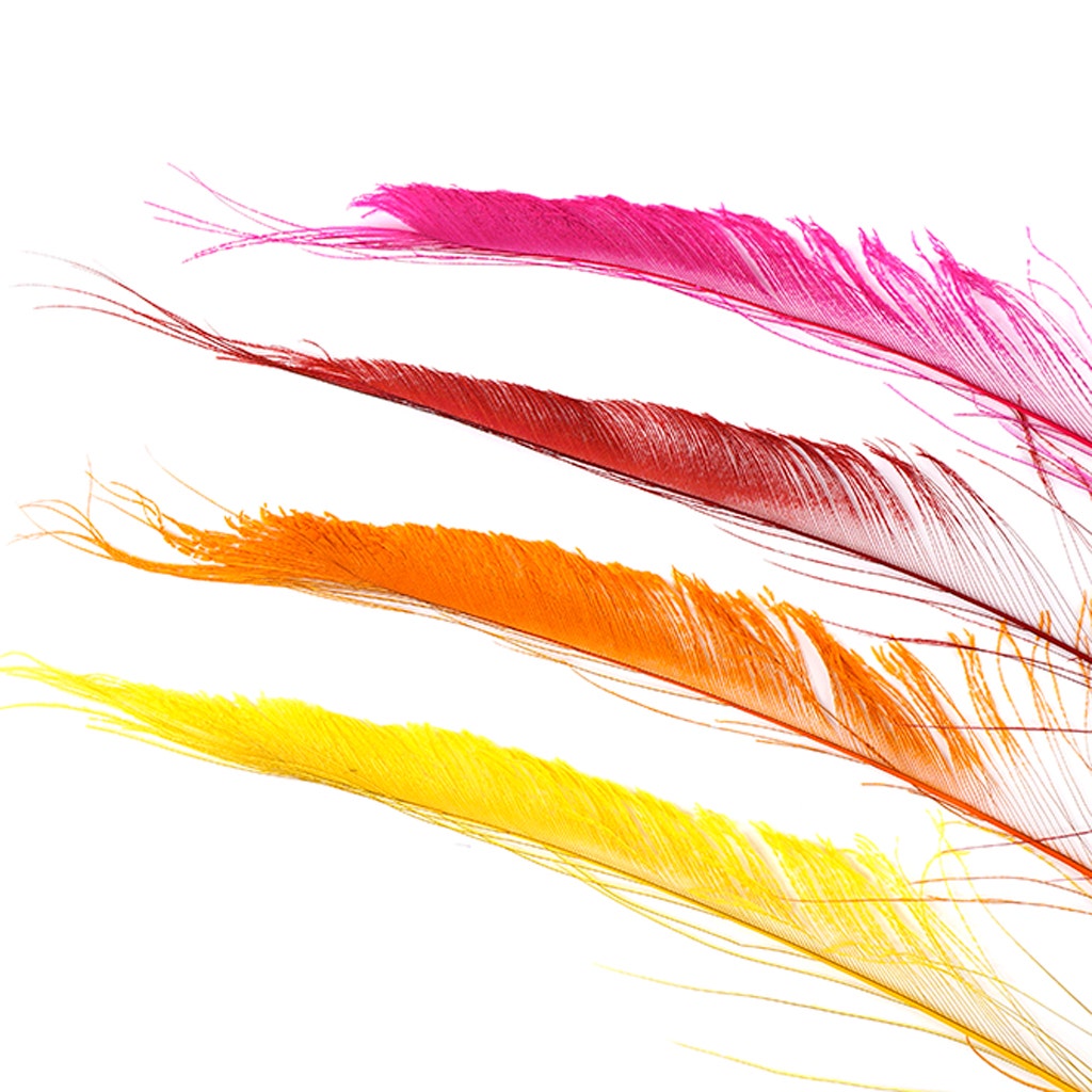 Peacock Swords Bleach Mix Dyed - Fiesta Mix - Feathers