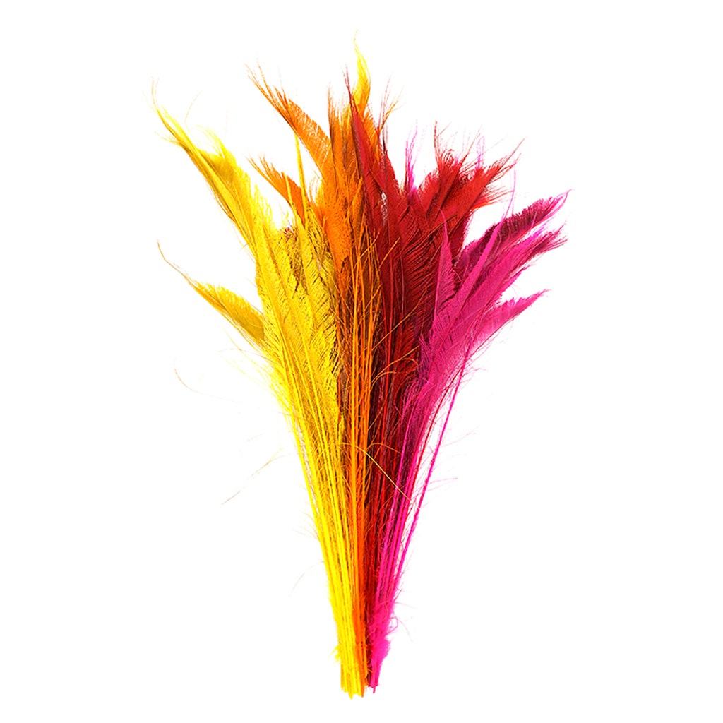 Peacock Swords Bleach Mix Dyed - Fiesta Mix - Feathers