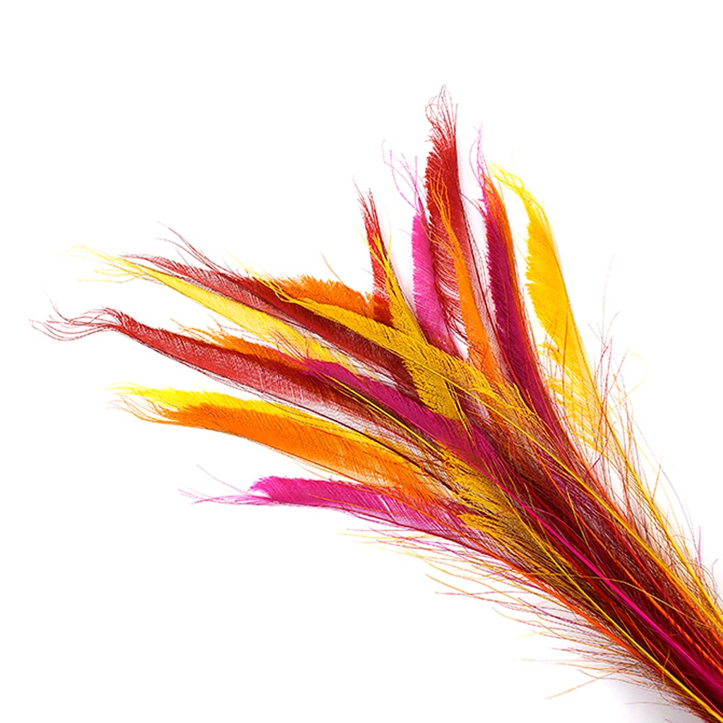 Peacock Swords Bleach Mix Dyed - Fiesta Mix - Feathers