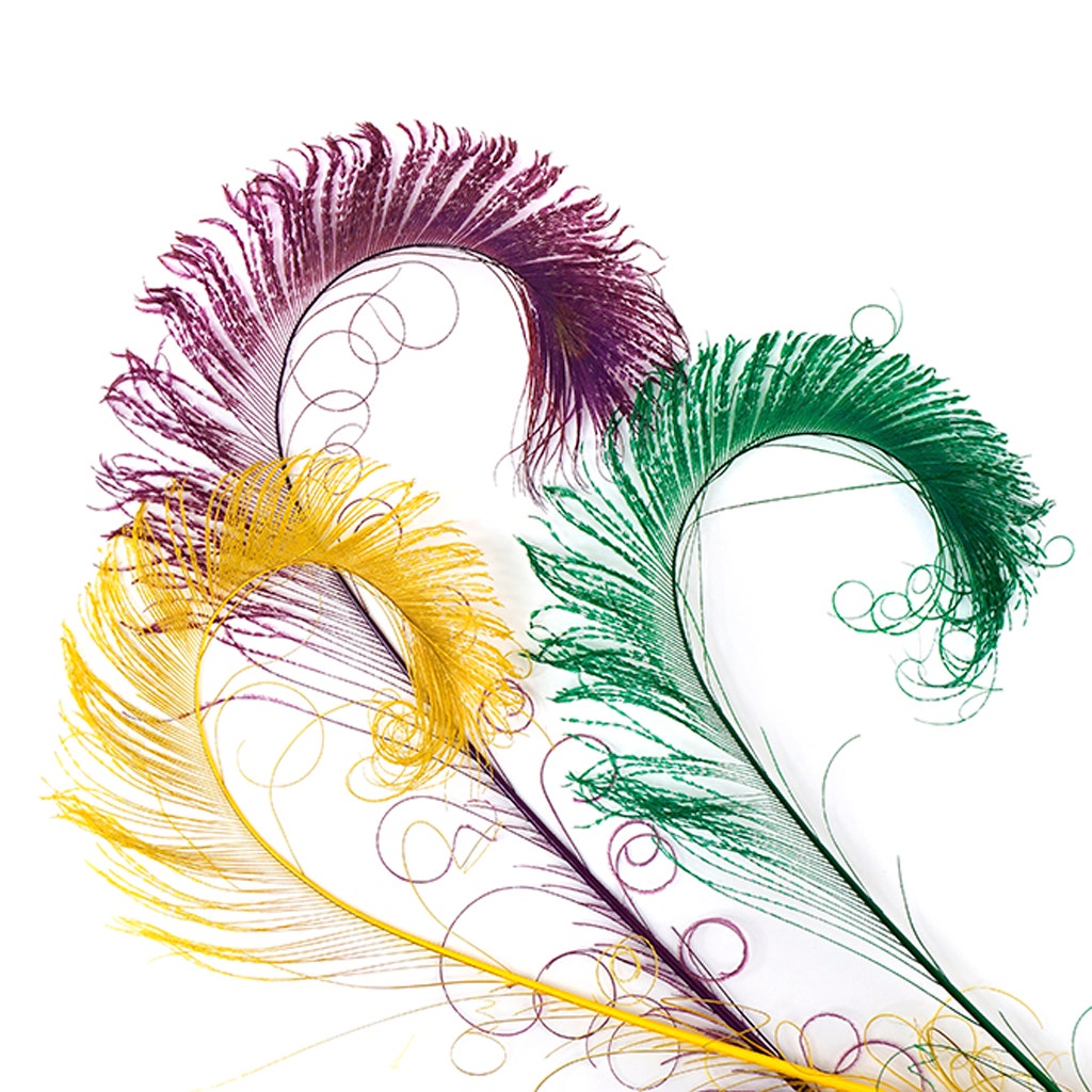 Peacock Swords Bleach Mix Dyed - Mardigras Mix - 20-25’’ - Feathers