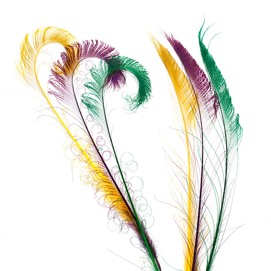 Peacock Swords Bleach Mix Dyed - Mardigras Mix - 20-25’’ - Feathers