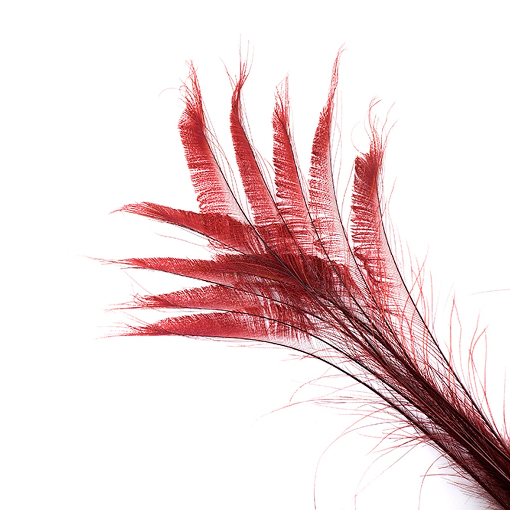 Peacock Swords Bleached/Dyed - Burgundy - Feathers