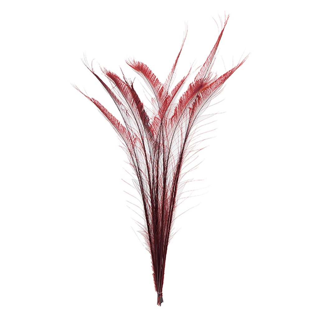 Peacock Swords Bleached/Dyed - Burgundy - Feathers