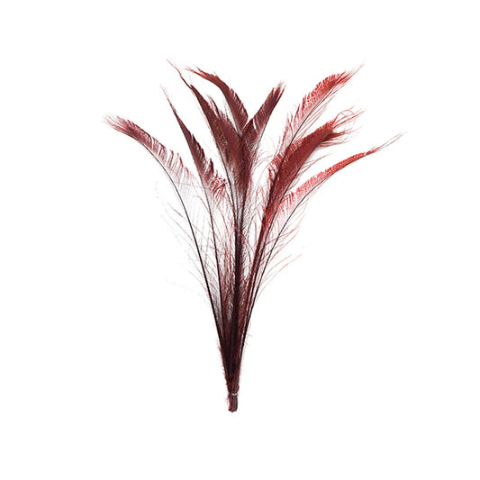 Peacock Swords Bleached/Dyed - Burgundy - Feathers