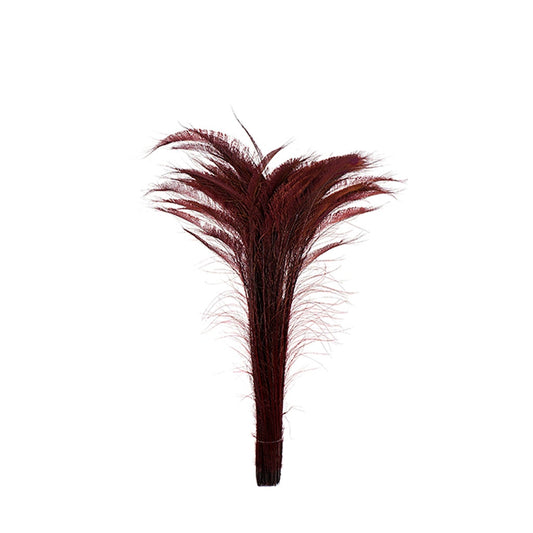 Peacock Swords Bleached Dyed - Burgundy - Feathers