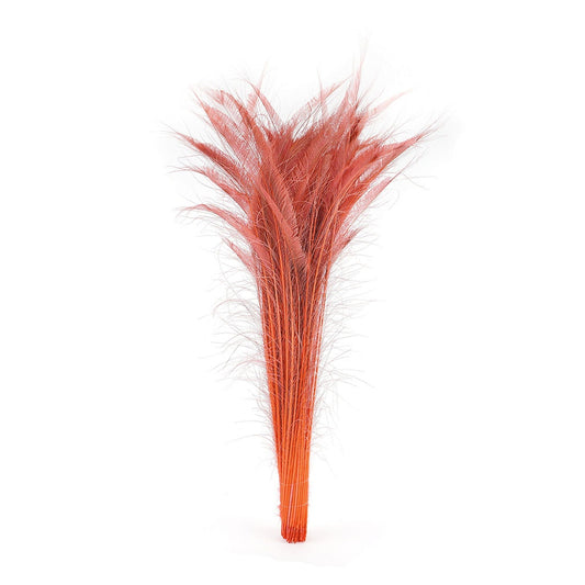 Peacock Swords Bleached Dyed - Coral - Feathers