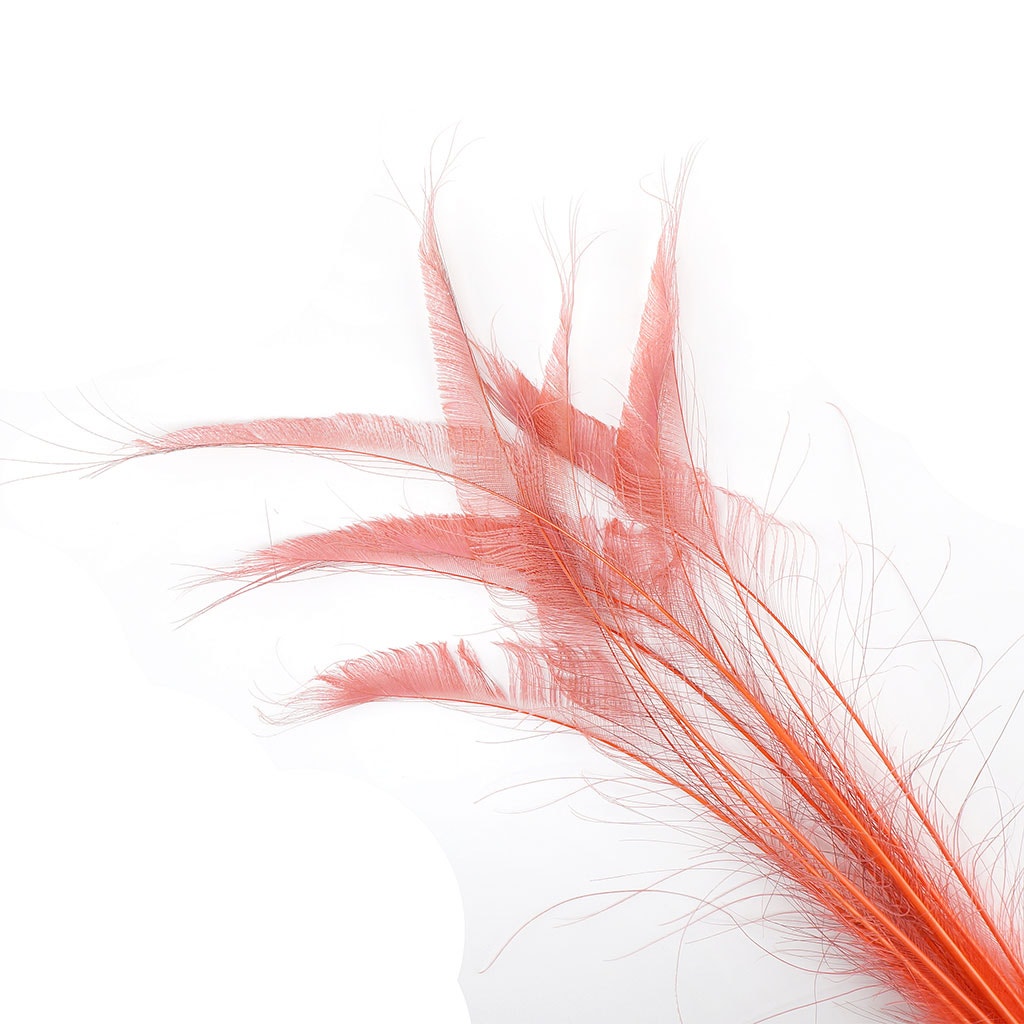 Peacock Swords Bleached Dyed - Coral - Feathers