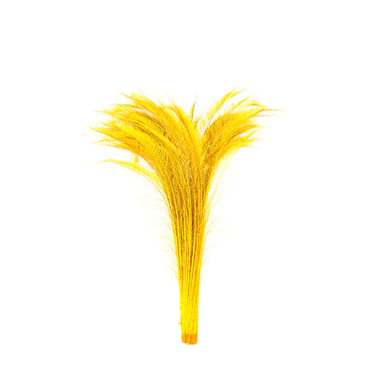 Peacock Swords Bleached Dyed - Gold - Feathers