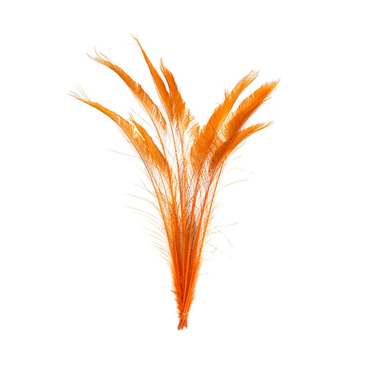 Peacock Swords Bleached/Dyed - Orange - Feathers