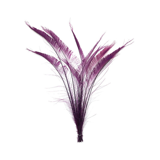 Peacock Swords Bleached/Dyed - Purple - Feathers