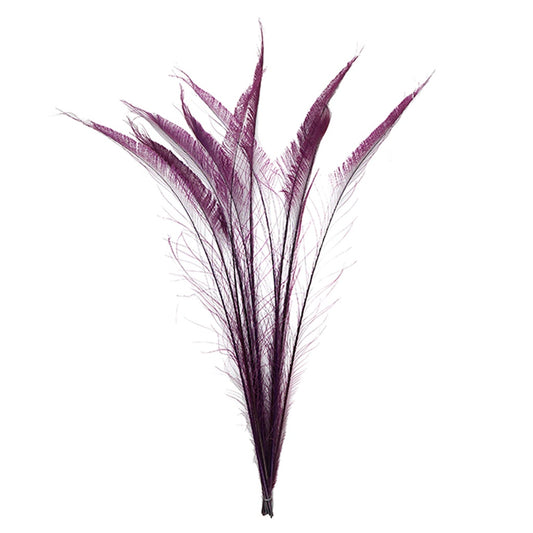 Peacock Swords Bleached/Dyed - Purple - Feathers