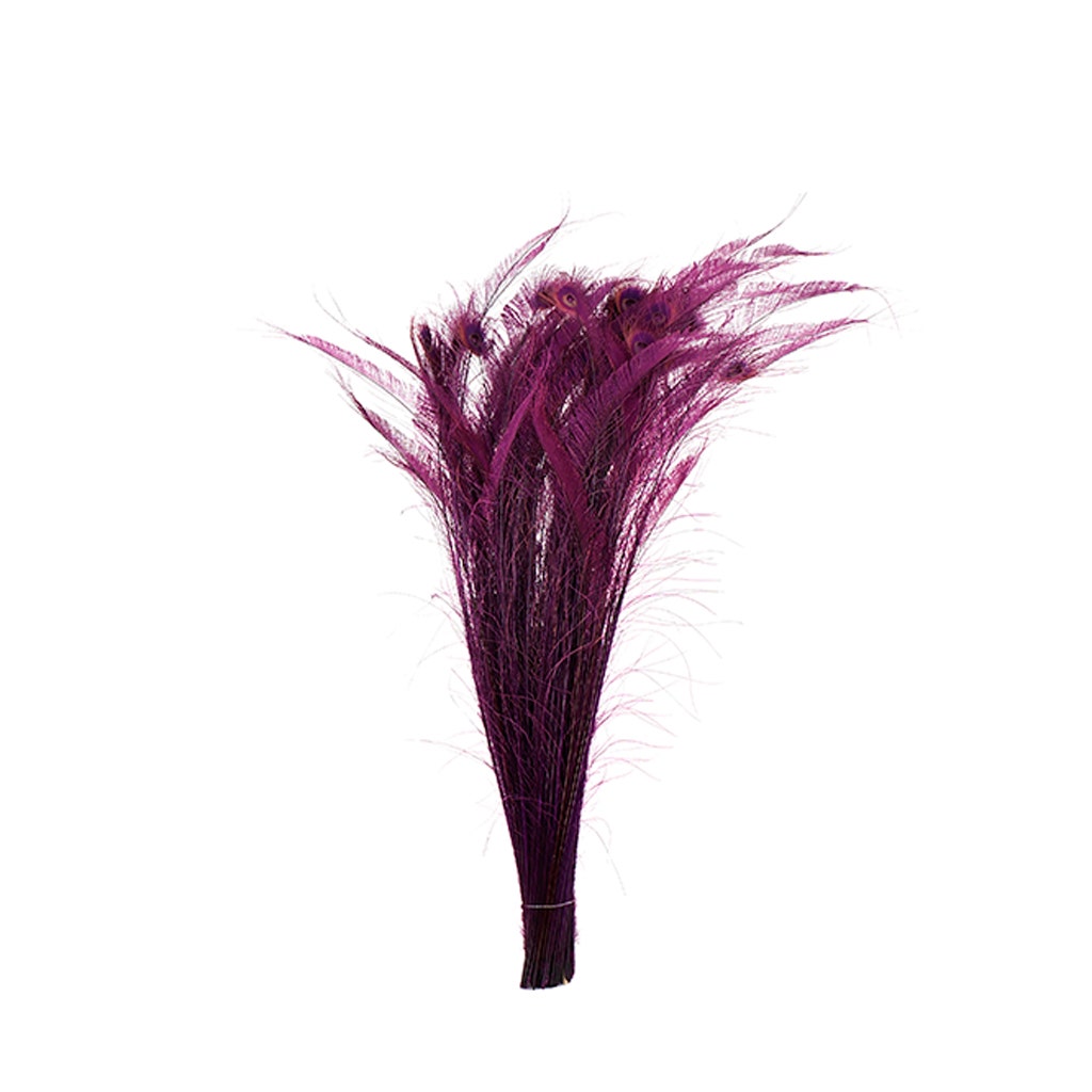 Peacock Swords Bleached Dyed - Purple - Feathers