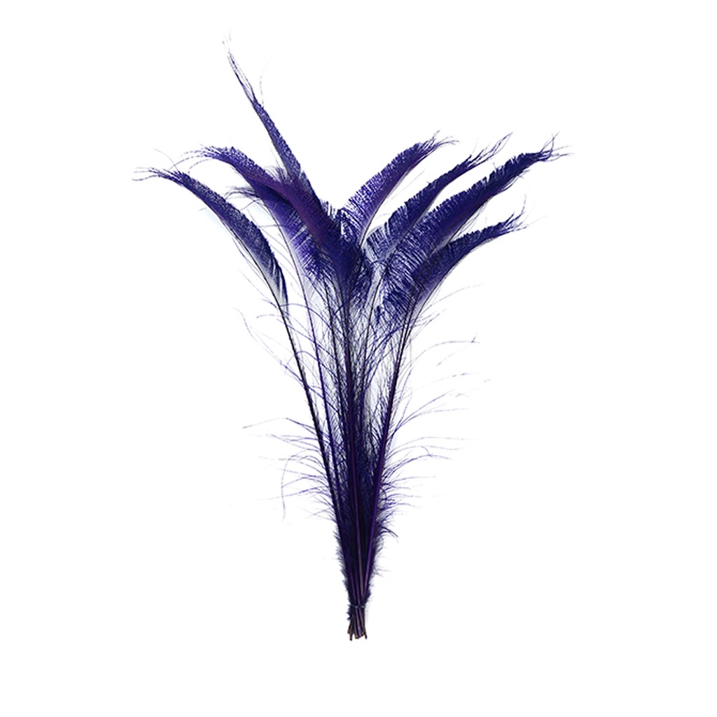 Peacock Swords Bleached/Dyed - Regal - Feathers